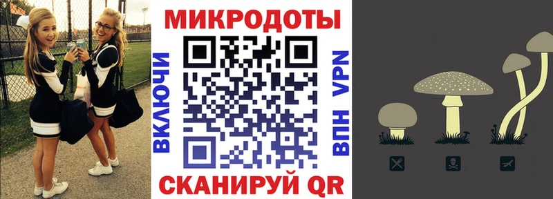 Галлюциногенные грибы Psilocybe  Купить где  Костерёво 